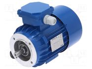 Motor: AC; 3-phase; 0.25kW; 230/400VAC; 1390rpm; IP54; -30÷60°C 