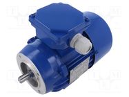 Motor: AC; 3-phase; 0.37kW; 230/400VAC; 2820rpm; IP54; -30÷60°C 