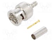 Connector: BNC; plug; male; straight; 75Ω; crimped; for cable; PTFE AMPHENOL RF