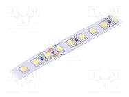 LED tape; white cold; 2835; 24V; LED/m: 120; 10mm; white PCB; IP20 IPIXEL LED