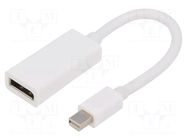 Adapter; DisplayPort socket,mini DisplayPort plug; 0.15m; white GEMBIRD