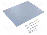 Mounting plate; steel 