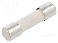 Fuse: fuse; medium time-lag; 4A; 250VAC; ceramic,cylindrical; FSM SCHURTER