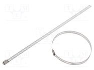 Cable tie; L: 250mm; W: 7mm; stainless steel AISI 304; 445N RAYCHEM RPG