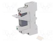 Relay: interface; DPDT; Ucoil: 12VDC; for DIN rail mounting ABB