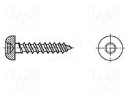 Screw; for wood; 4x16; Head: cheese head; Torx®; TX20; zinc BOSSARD