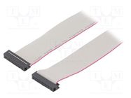 Ribbon cable with IDC connectors; Tape ph: 1.27mm; 0.6m CONNFLY