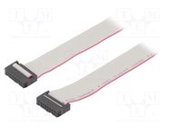 Ribbon cable with IDC connectors; Cable ph: 1.27mm; 0.6m 