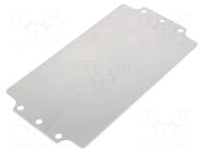 Mounting plate; steel; Plating: zinc RAYCHEM RPG