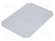 Mounting plate; zinc-plated steel FIBOX