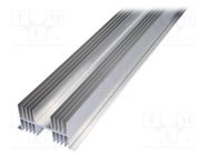 Heatsink: extruded; grilled; natural; L: 1000mm; W: 125mm; H: 65mm 