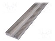 Heatsink: extruded; grilled; natural; L: 1000mm; W: 97mm; H: 25mm 