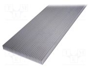 Heatsink: extruded; grilled; black; L: 1000mm; W: 200mm; H: 25mm SEIFERT ELECTRONIC