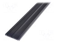 Heatsink: extruded; grilled; black; L: 1000mm; W: 88.7mm; H: 10.85mm SEIFERT ELECTRONIC