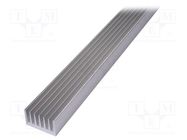 Heatsink: extruded; grilled; natural; L: 1000mm; W: 66mm; H: 40mm 