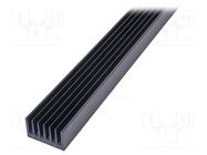 Heatsink: extruded; grilled; black; L: 1000mm; W: 66mm; H: 40mm SEIFERT ELECTRONIC