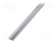 Profiles for LED modules; natural; L: 2m; WAY10; aluminium TOPMET