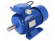 Motor: AC; 1-phase; 1.3kW; 230VAC; 1370rpm; 9.1Nm; IP54; 9A; -15÷40°C 