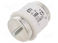 Fuse: fuse; 160A; 500VAC; 500VDC; gG; ceramic; DV; D ETI POLAM