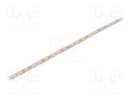 LED tape; white neutral; 5050; 12V; LED/m: 60; 10mm; white PCB; IP64 IPIXEL LED