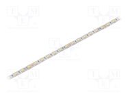 LED tape; white cold; 5050; LED/m: 60; 10mm; white PCB; IP64; 120° IPIXEL LED