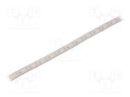 LED tape; white neutral; 2835; 12V; LED/m: 120; 10mm; white PCB IPIXEL LED