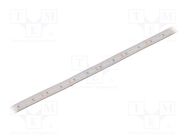 LED tape; white warm; 2835; LED/m: 120; 10mm; white PCB; IP65; 120° IPIXEL LED