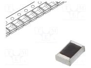 Resistor: thick film; SMD; 0805; 100Ω; 500mW; ±1%; ERJH; -55÷175°C PANASONIC