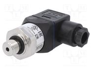 Converter: pressure; Pressure setting range: 0÷250bar; 0.5%; IP67 WIKA