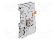 Bus end terminal; for DIN rail mounting; RJ45; 750/753; IP20 WAGO