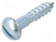 Screw; for wood; 6x30; Head: button; slotted; 1.6mm; steel; zinc BOSSARD