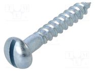 Screw; for wood; 4x25; Head: button; slotted; 1mm; steel; zinc BOSSARD