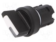 Switch: rotary; 22mm; Stabl.pos: 2; black; depending on the holder 