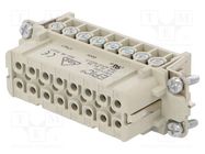 Connector: HDC; female; EPIC H-A; PIN: 16; 16+PE; size H-A 16; 16A LAPP