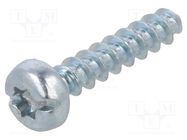 Screw; for plastic; 2.5x12; Head: cheese head; slotted,Torx®; zinc BOSSARD