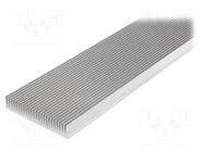 Heatsink: extruded; grilled; natural; L: 1000mm; W: 150mm; H: 27mm 