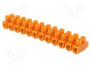 Terminal block; screw terminal; 4mm2; 32A; ways: 12; terminals: 24 SIMET