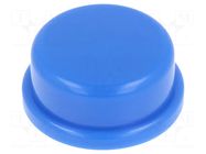 Button; none; TS 2x; Body: blue KNITTER-SWITCH