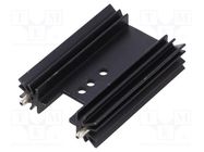 Heatsink: extruded; grilled; black; L: 50.8mm; W: 35mm; H: 12.7mm SEIFERT ELECTRONIC