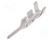 Contact; male; tinned; 28AWG÷24AWG; cut from reel; crimped; 2mm HIROSE