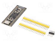 Module: controller; BlackPill; 5VDC; uC: STM32F411; 100MHz DFROBOT