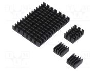 Heatsink; black; Raspberry Pi 4 B; aluminium; 3pcs. DFROBOT