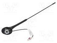 Antenna; car top; 0.4m; AM,FM; 0.2m; Rod inclination: constant CALEARO