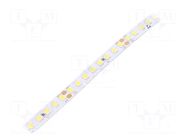 LED tape; white cold; 2835; LED/m: 160; 8mm; IP20; 120°; 13W/m; 24VDC Ledxon