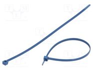 Cable tie; multi use,with metal; L: 250mm; W: 4.6mm; 225N; blue 