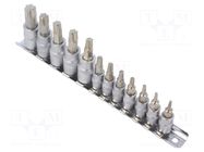 Wrench-set; socket spanner,Torx®; Chrom-vanadium steel; 12pcs. YATO