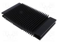 Heatsink: extruded; grilled; black; L: 120mm; W: 218mm; H: 37mm SEIFERT ELECTRONIC