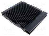 Heatsink: extruded; grilled; black; L: 180mm; W: 218mm; H: 37mm SEIFERT ELECTRONIC