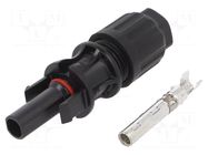 Connector: solar; plug; female; IP67; for cable; crimped; 35A CABUR