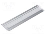 Profiles for LED modules; natural; L: 2m; WALLE12; aluminium TOPMET